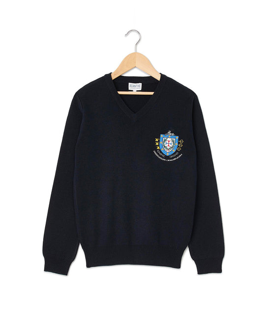 Pull col V acry-coton Champfleury