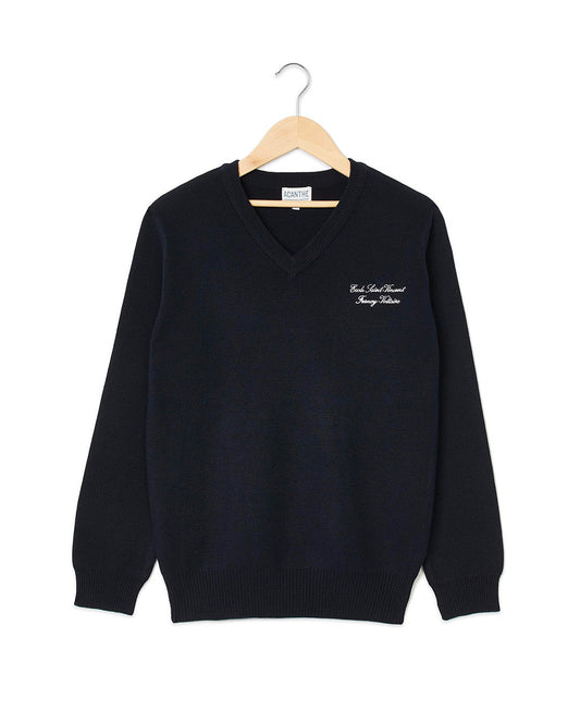 pull col V acry-coton St Vincent Ferney Voltaire