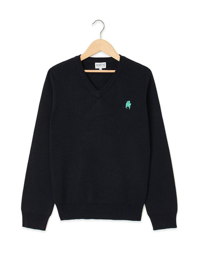 pull col V acry-coton SMDFarçon