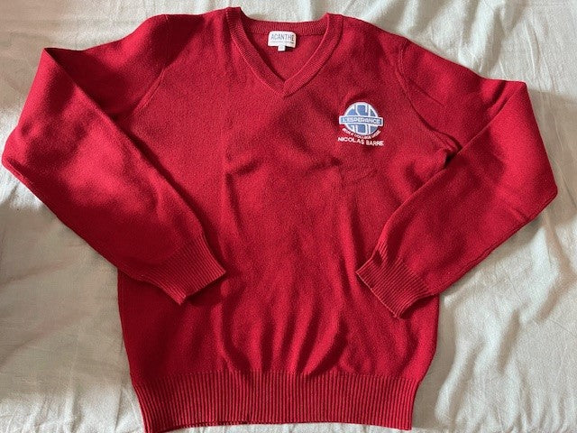 pull col V acry-coton L'Espérance