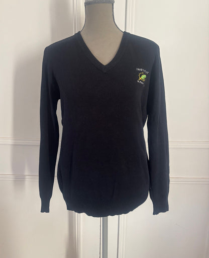 pull col V acry-coton Institut St Pierre St Paul