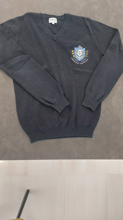 Pull col V acry-coton Champfleury