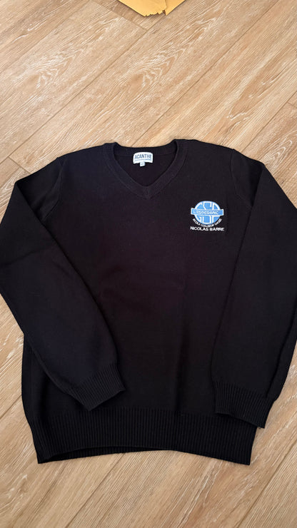pull col V acry-coton L'Espérance