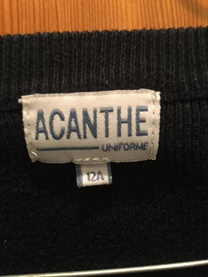 pull col V acry-coton Immaculée Saint Pierre Evreux