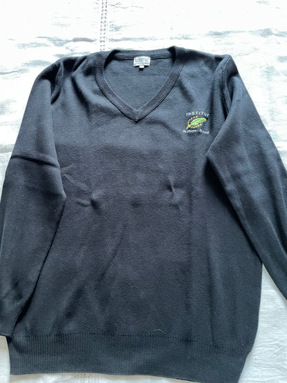 pull col V acry-coton Institut St Pierre St Paul