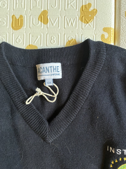 pull col V acry-coton Institut St Pierre St Paul