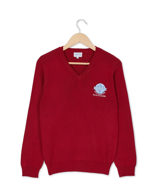 pull col V acry-coton L'Espérance