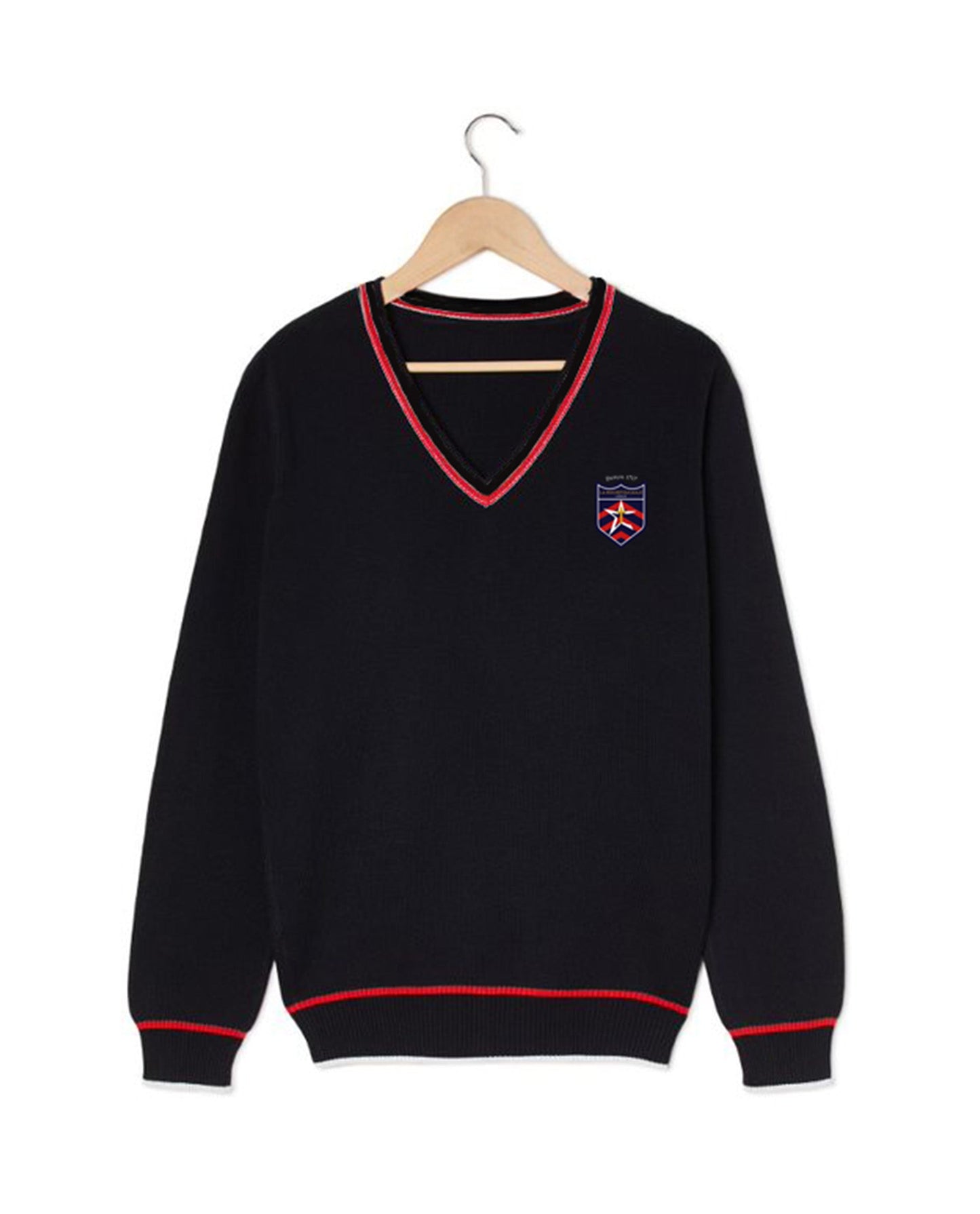 Pull V acry-laine La Rochefoucauld G